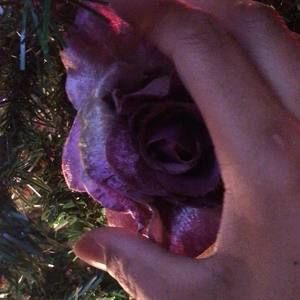 Meet your Posher, Charles